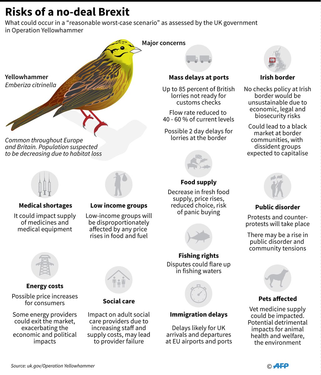 Operation Yellowhammer: main points from the UK government's assessment of a 'worst-case' scenario in the event of a no-deal Brexit - @AFP