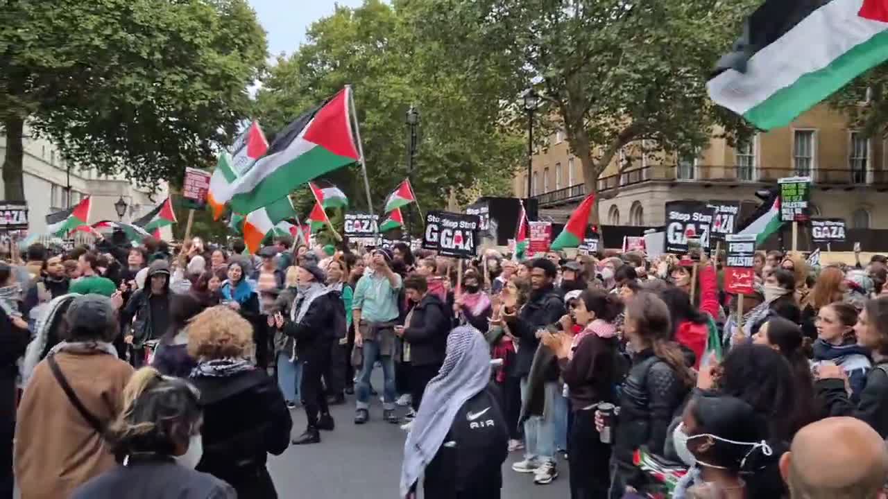 Palestine protesters blocking Whitehall roads outside No10 tonight