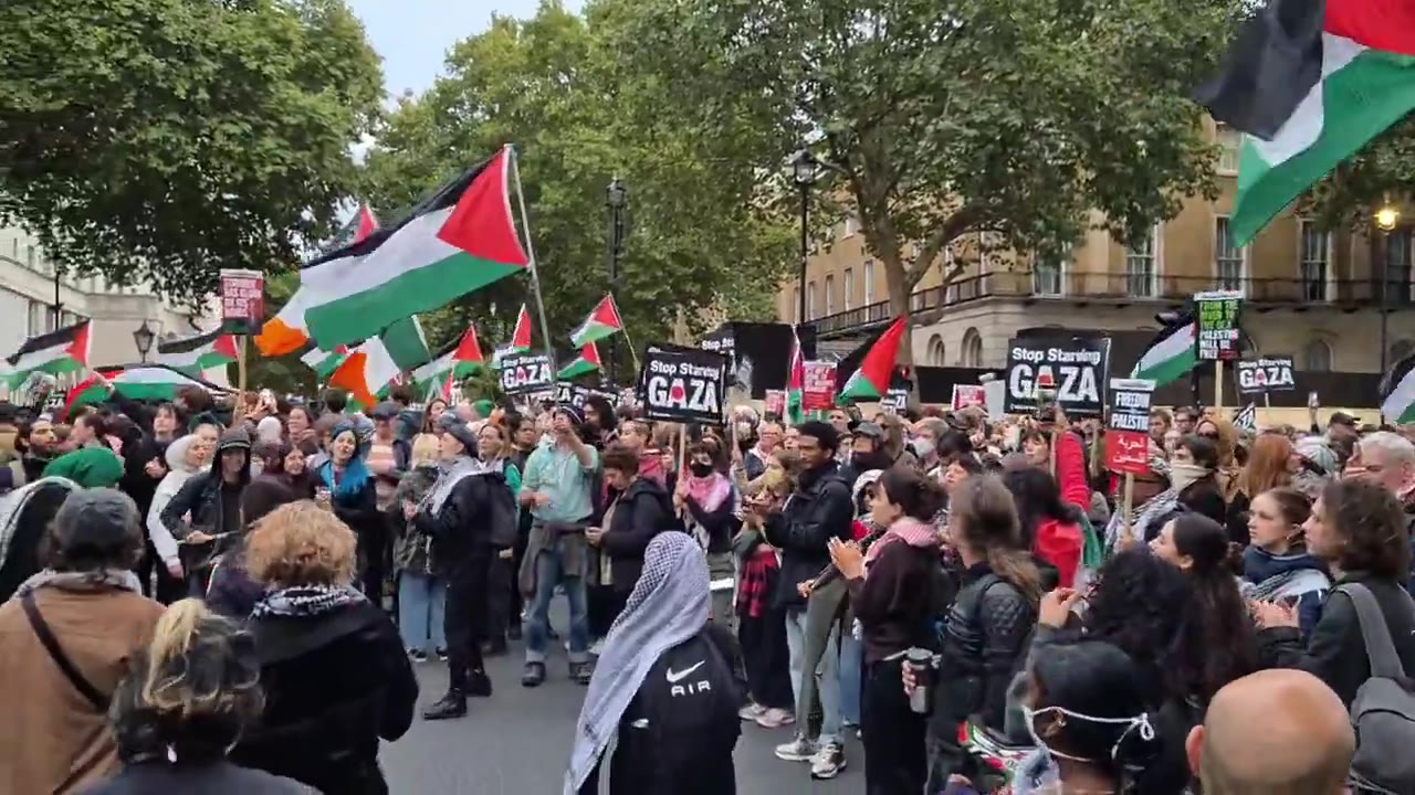 Palestine protesters blocking Whitehall roads outside No10 tonight