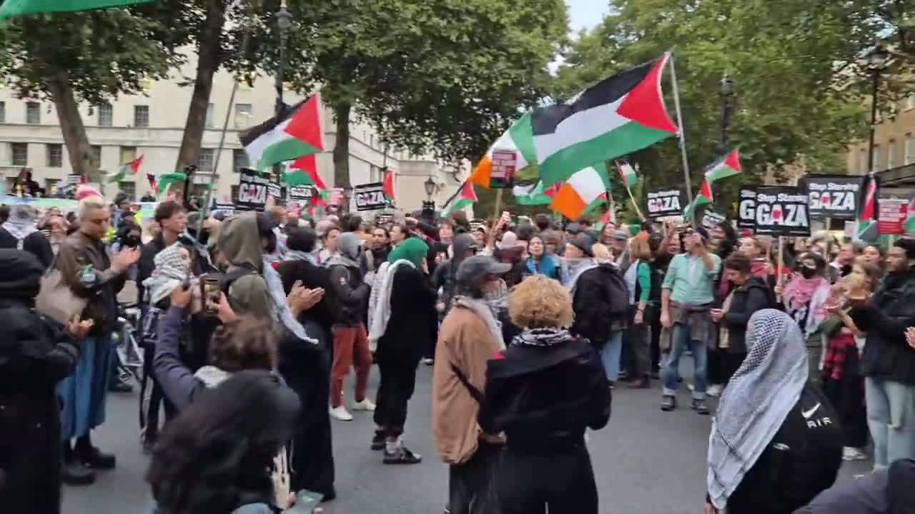 Palestine protesters blocking Whitehall roads outside No10 tonight